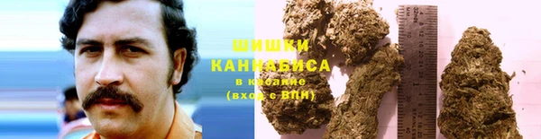крисы Балабаново